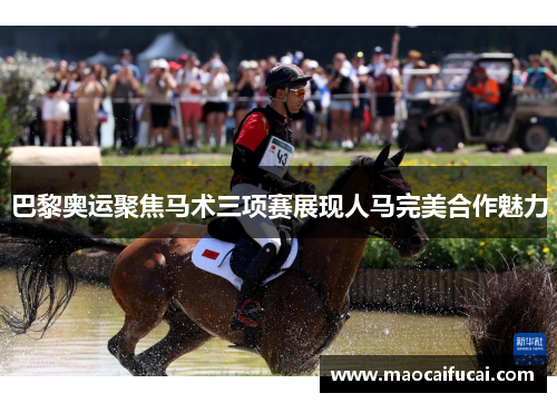 巴黎奥运聚焦马术三项赛展现人马完美合作魅力